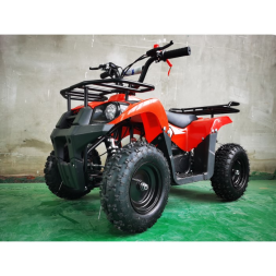 Детский квадроцикл MOTAX ATV Basic Х16 e-start, фото 3