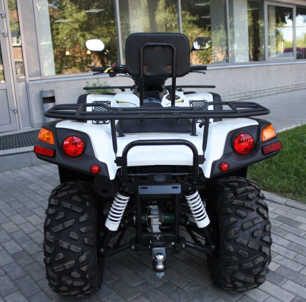 Квадроцикл РМ Gamax AX 600, фото 2