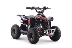 Квадроцикл YACOTA Renegade Mini, фото 1