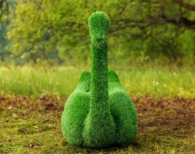Топиари лебедь Чепелия - газон Eco Green