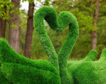 Топиари лебедь Чепелия - газон Eco Green