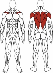 Тяга верхняя с переменной нагрузкой (красный) - Уличный тренажер - СТ 036-11, фото 6