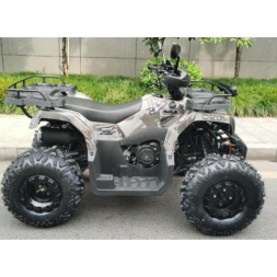 Квадроцикл GRIZLIK T200, фото 4