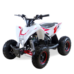 Детский квадроцикл MOTAX GEKKON 90 cc 1+1 (Реверс), фото 1