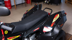 Квадроцикл СТЕЛС ATV 110A HUGO, фото 7 Квадроцикл СТЕЛС ATV 110A HUGO, фото 7