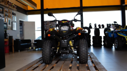 Квадроцикл СТЕЛС ATV 110A HUGO, фото 6 Квадроцикл СТЕЛС ATV 110A HUGO, фото 6