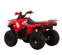 Квадроцикл MIKILON Hammer 200L Pro-R