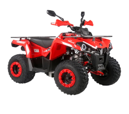 Квадроцикл MIKILON Hammer 200L Pro-R, фото 2