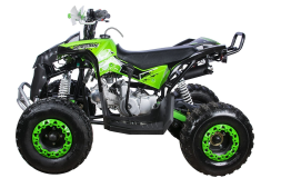 Квадроцикл YACOTA Renegade, фото 5