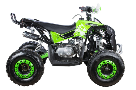 Квадроцикл YACOTA Renegade, фото 2