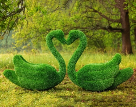 Топиари два лебедя Чепелия - газон Eco Green, фото 1