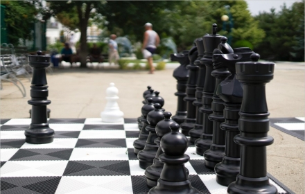 Шахматы гигантские (король 90 см) с пластиковой доской 3,3*3,3м, фото 3