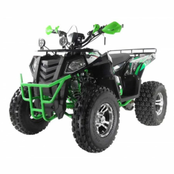 Квадроцикл WELS 200cc EVO, фото 3