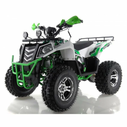 Квадроцикл WELS 200cc EVO, фото 2