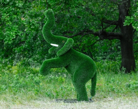 Топиари Слоник на дыбах газон Eco, фото 16