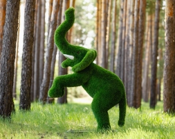 Топиари Слоник на дыбах газон Eco, фото 3