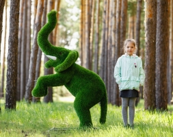 Топиари Слоник на дыбах газон Eco, фото 4