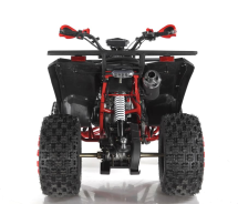 Квадроцикл WELS ATV Thunder 200 Evo X Квадроцикл WELS ATV Thunder 200 Evo X