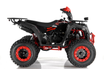 Квадроцикл WELS ATV Thunder 200 Evo X Квадроцикл WELS ATV Thunder 200 Evo X