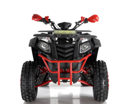 Квадроцикл WELS ATV Thunder 200 Evo X, фото 4