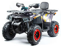 Квадроцикл TAO MOTOR ATV 200 Квадроцикл TAO MOTOR ATV 200