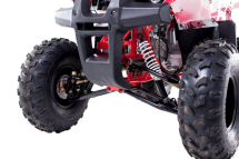 Квадроцикл WELS Thunder 125 Basic Квадроцикл WELS Thunder 125 Basic