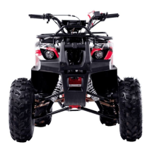 Квадроцикл WELS Thunder 125 Basic Квадроцикл WELS Thunder 125 Basic