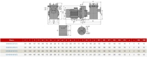 Насос с префильтром AquaViva LX SCA100-80-160/15T