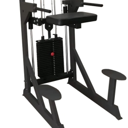 Гравитрон профессиональный BRONZE GYM PARTNER ML-701, фото 4