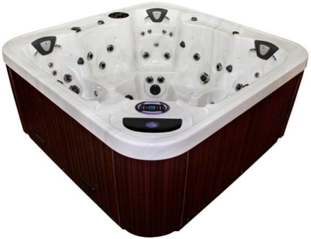 спа-бассейн Coast Spas Unity, фото 2