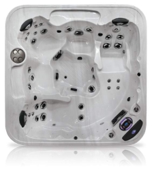 спа-бассейн Coast Spas Unity, фото 1