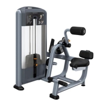 Tpeнaжep Разгибание спины PRECOR DSL313