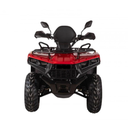 Квадроцикл Bizon YK250 Basic Carb, фото 5 Квадроцикл Bizon YK250 Basic Carb, фото 5