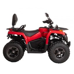 Квадроцикл Bizon YK250 Basic Carb, фото 4 Квадроцикл Bizon YK250 Basic Carb, фото 4