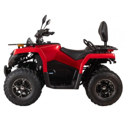 Квадроцикл Bizon YK250 Basic Carb, фото 2 Квадроцикл Bizon YK250 Basic Carb, фото 2