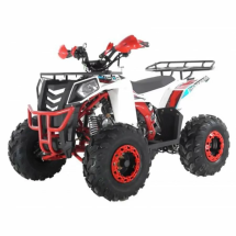 Квадроцикл WELS ATV Thunder EVO 125