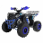 Квадроцикл WELS ATV Thunder EVO 125