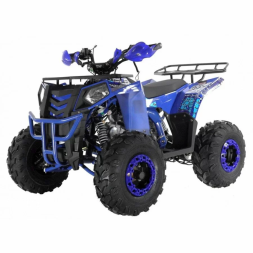 Квадроцикл WELS ATV Thunder EVO 125, фото 1