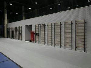 Шведская стенка EffectSport комбинированная Гибрид-Б-ДВ, фото 14