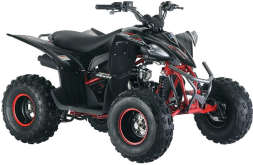 Квадроцикл MIKILON Rapide 125S, фото 3