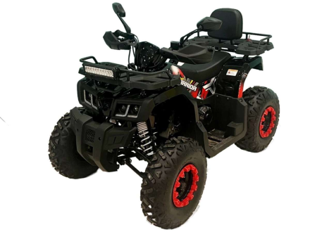 Квадроцикл BISON Warrior 200, фото 1