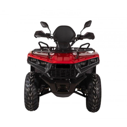 Квадроцикл Bizon YK250 Lux EFI, фото 5