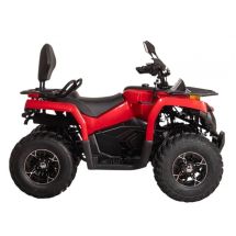 Квадроцикл Bizon YK250 Lux EFI Квадроцикл Bizon YK250 Lux EFI