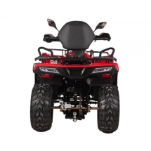 Квадроцикл Bizon YK250 Lux EFI Квадроцикл Bizon YK250 Lux EFI