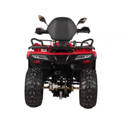 Квадроцикл Bizon YK250 Lux EFI, фото 3 Квадроцикл Bizon YK250 Lux EFI, фото 3