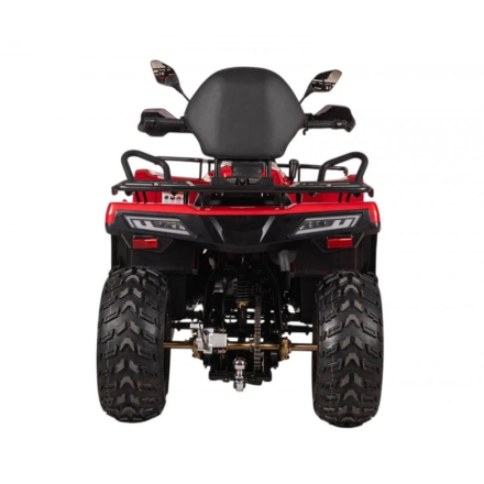 Квадроцикл Bizon YK250 Lux EFI, фото 3