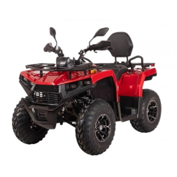 Квадроцикл Bizon YK250 Lux EFI, фото 1 Квадроцикл Bizon YK250 Lux EFI, фото 1