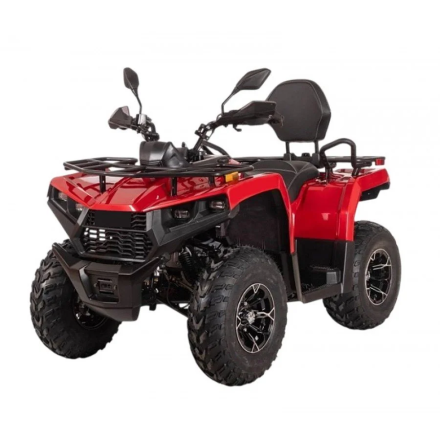 Квадроцикл Bizon YK250 Lux EFI, фото 1