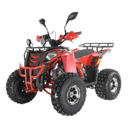 Квадроцикл WELS ATV Thunder EVO X, фото 4