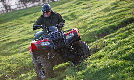 Квадроцикл HONDA TRX420, фото 3